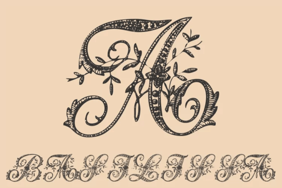 Basilissa Font for Web Design and Brand Identity