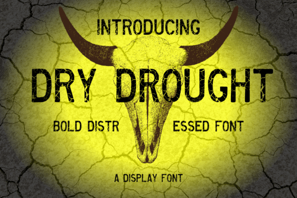 Dry Drought: A Bold Display Typeface for Editorial Design