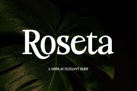 Roseta: The Elegant Script Font for Handmade Branding